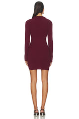 North Sweater Dress